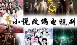 电视剧 小说,穿越时空的传奇佳人