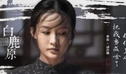 电视剧白鹿原全集播放,历史长河中的家族传奇