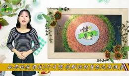 hh漫画,幽默与智慧的碰撞