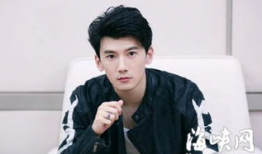 刘芮麟演过的电视剧,多面角色演绎，魅力四射的荧屏之星
