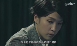 诡探电视剧国语版,揭秘悬疑背后的真相，探寻人性的幽暗角落