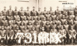 731部队电视剧全集,揭开二战阴影下的罪恶之谜