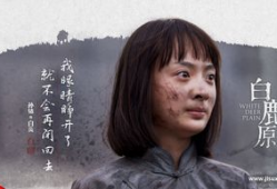 电视剧白鹿原全集播放,历史长河中的家族传奇