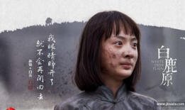 电视剧白鹿原全集播放,历史长河中的家族传奇
