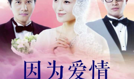 因为爱情有多美电视剧全集,爱情与现实的交织之旅