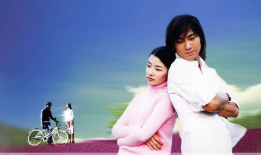 薰衣草电视剧演员表,倾情演绎的爱情传奇，众星云集的演员阵容