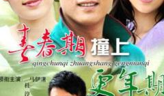 2010电视剧,2010年热门电视剧回顾
